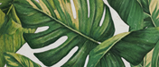 Foliage