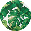Foliage